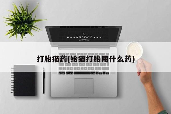 米非司酮片药店可以买吗打胎猫药(给猫打胎用什么药)