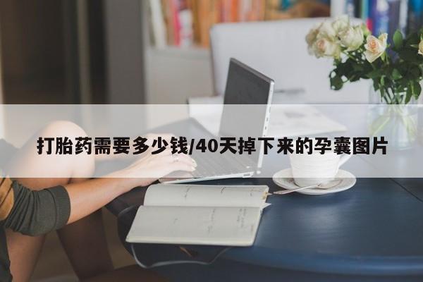 米非司酮片药店可以买吗打胎药需要多少钱/40天掉下来的孕囊图片